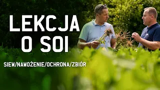 LEKCJA O SOI. Siew/nawożenie/ochrona/zbiór