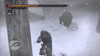 Yakuza 5 (Ryu ga Gotoku 5) - Giant Bear Showdown