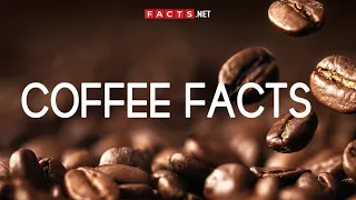 Coffee Facts You Have To Know!
