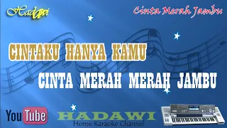 Karaoke CINTA MERAH JAMBU - NIA LAVENIA (Tanpa Vokal)