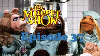 The Muppet Show Compilations - Episode 37: Veterinarian's Hospital (Season 3)