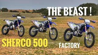 SHERCO 500 SEF FACTORY 2023 4K