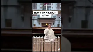 NEW YORK RADIATORS AT 3AM