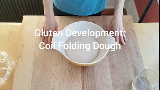 Gluten Development: Coil Folding Dough