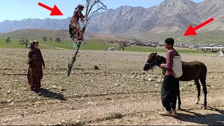 Nomadic life: a widow's sacrifice for the survival of her children.