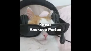 Котик - Алексей Рыбак