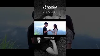 Teaser Matualand - Mewali feat Winandari