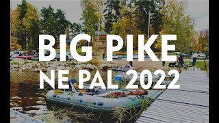 Рыболовный турнир BIG PIKE NE PAL. Рыбалка на озере Вуокса. Финальный турнир 2022 года.