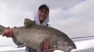 Most Biggest Fish Catches In The World   You Won't Believe Actually Exist