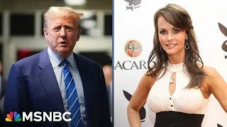 ‘Our girl Karen’: David Pecker testifies discussing Karen McDougal with Trump in White House 