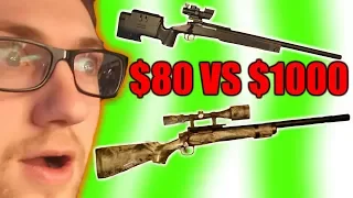 $1000 VS $80 sniper Worth it ?