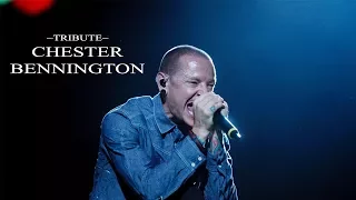 Tribute To Chester Bennington: One More light | Quotes & Old Photos