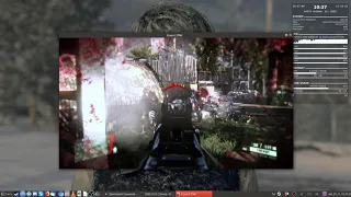 (Steam Play)Crysis 2 Ubuntu 18.04