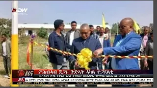 DW International ትግርኛ ዜና ሰዓት 06:30፣ 08 መስከረም 2016 ዓ/ም Live Streaming