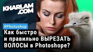 Как быстро и правильно ВЫРЕЗАТЬ ВОЛОСЫ в Photoshopе? #Shorts