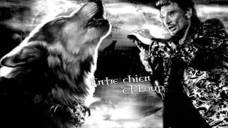 JOHNNY HALLYDAY ENTRE CHIENS ET LOUPS