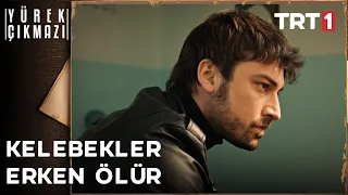 "Ben kelebek gibi yaşadım!" -Yürek Çıkmazı Özel Sahneler