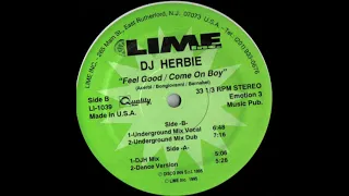 Come On Boy (Underground Mix Dub) / DJ Herbie ‎/ LI-1039 [1995]