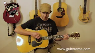 Cours guitare Folk THE NEEDLE AND THE DAMAGE DONE / Neil Young tuto en flatpicking