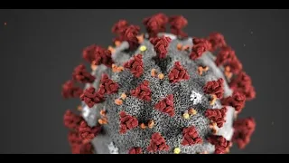 Covid-19 : le virus peut-il avoir des effets sur le cerveau et la fertilité ?