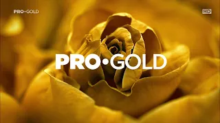 PRO GOLD HD - Idents/grafica - 2022