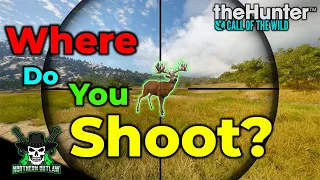 IN-DEPTH Guide to SHOT PLACEMENT | theHunter: Call of the Wild