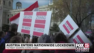 Austria begins nationwide COVID-19 lockdown