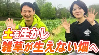 【自然栽培287】雑草の変化と、地下茎が生えなくなる畑へ。草マルチは草を温める？冷やす？