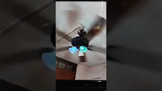 ceiling fan faling down compilation