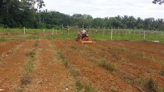 Zen Noh - Old machine on action