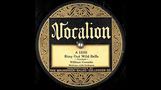 Ring Out, Wild Bells ~ William Coombs with Orchestra (1925)