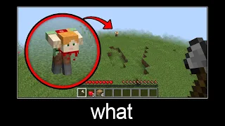 Minecraft wait what meme part 243 (headless scary alex)