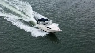 Bayliner Cierra 2655 - For Sale in Sydney Harbour with Luxury Marine