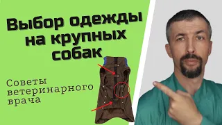 Одежда для крупных собак