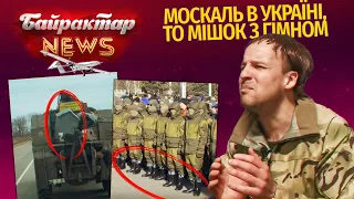 Свинособаки крадуть в Україні навіть собачі будки. Байрактар News #14