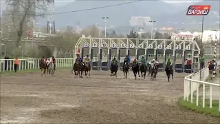 Пойгаи равон / Аспдавонӣ. Ҷоми Пойтахт (30.03.2019)