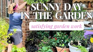 A Sunny Day In The Garden 🌻🌻🌻 || Satisfying Garden Chores || Garden Inspiration || Summer Garden