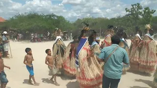 DANCA DOS PRAIÁS CULTURA E TRADIÇÃO MENINO DO RANCHO