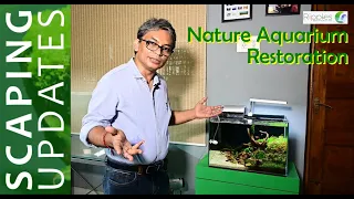 Nature Aquarium Restoration| Hobbyist Experience| Hobbyist Speak