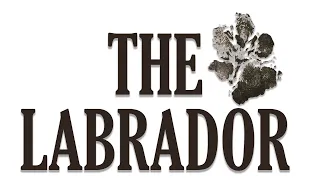 THE LABRADOR -lyhytelokuva