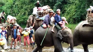 Kachin civilians flee Myanmar's 'forgotten war'