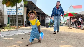 So adorable! Cutis stalking secretly follows mom go market