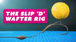 The Slip D WAFTER RIG! Catch more with this CARP FISHING Wafter Rig! Mainline Baits Carp Fishing TV