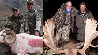 Alaska moose and dall sheep hunt with 70 year old Woody getting his 1st moose & dall sheep