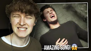 AMAZING SONG! (Shawn Mendes - In My Blood | Music Video Reaction/Review)