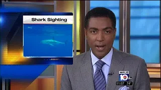 Great white spotted off Florida Keys