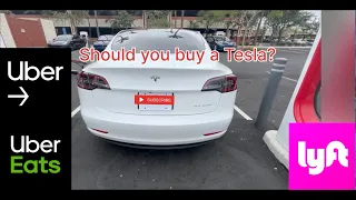 Should you buy a Tesla Model 3? 2023 Tesla Model 3 Review The owner's perspective @tesla @lyft​@Uber