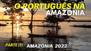 GETTING TO KNOW THE AMAZON (PART 5) LIFE IN THE AMAZON