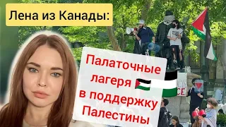 Палаточный лагерь в поддержку Палестины в Оттаве 🇵🇸. Лена из Канады 🇨🇦