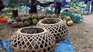 Fresh Food Market In Vang Vieng Laos